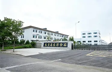250 milyon RMB'lik bir yatırım ve 40.000 m²'lik bir fabrika ile Dongyang Foods, yüksek kaliteli hazır erişte üretimi için güçlü bir temel oluşturmuştur.