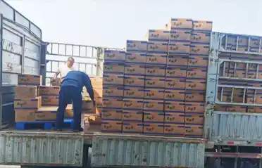 Mala Tang (baharatlı güveç) şehriye krepinin Shenyang'da bir kamyona yüklenmeden önce kaç kontrol noktasından geçmesi gerekiyor?