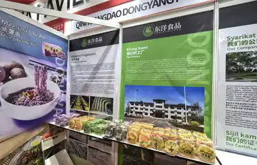 Malezya'da Kızartılmamış Erişte Kaynağı mı Arıyorsunuz? Uluslararası Helal Fuarında Qinhuangdao Dongyang Gıda Vitrinleri
