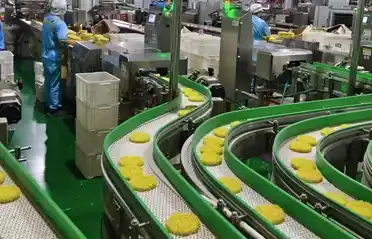 Güvenli Hazır Erişte Blokları Nasıl Seçilir? Qinhuangdao Dongyang Yemek Atölyesine Bir Bakış